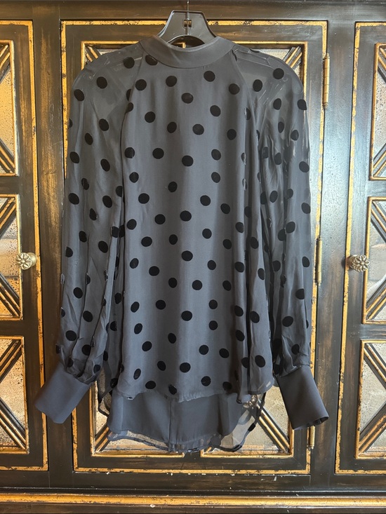 Equipment Tops - Equipment Black Polka Dot Sheer Long-Sleeve Blouse